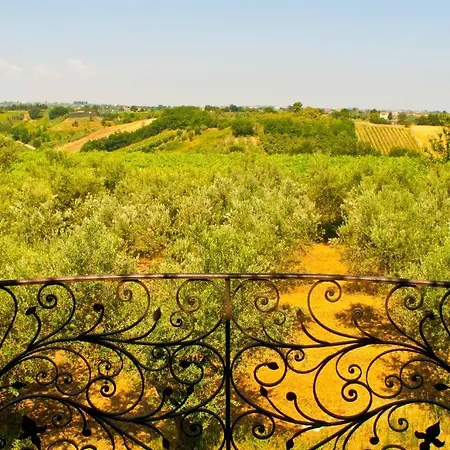 Agriturismo Orto Dei Giulivi